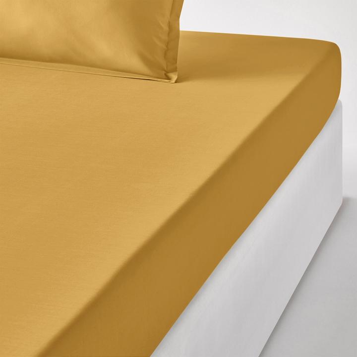 Ochre