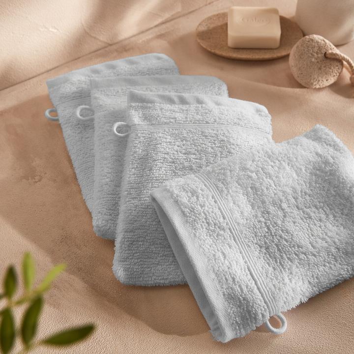 Image du produit La Redoute Interieurs Gants De Toilette (15 x 21 cm)