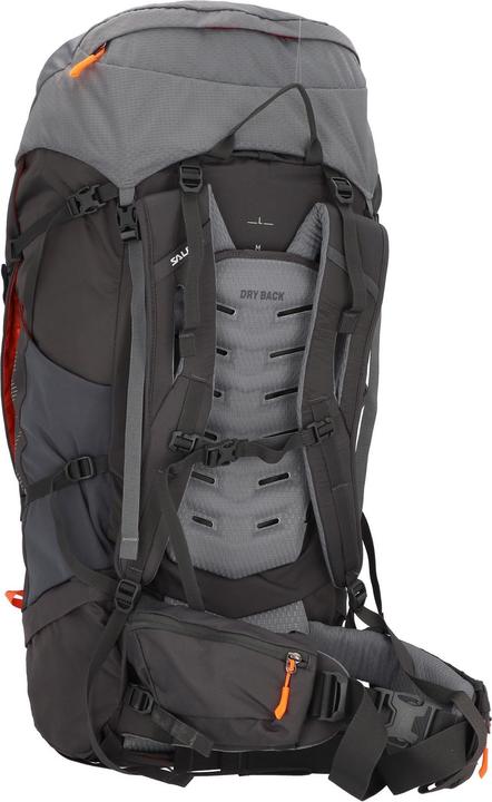 Actual product image Salewa Alptrek + L Pro (65 l)