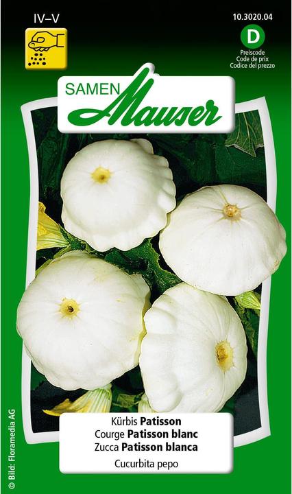 Kürbis Patisson (Gemüsesamen)
