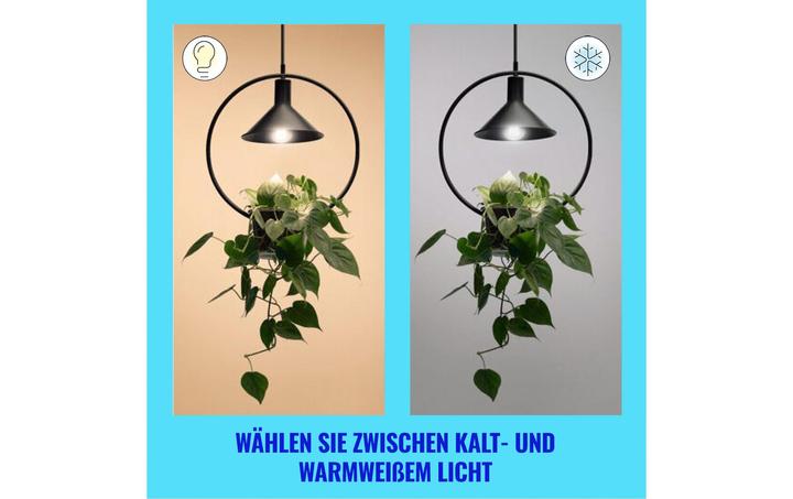 Immagine prodotto WiZ Lampada a filamento (E27, 4.30 W, 903 lm, 1 x, A)