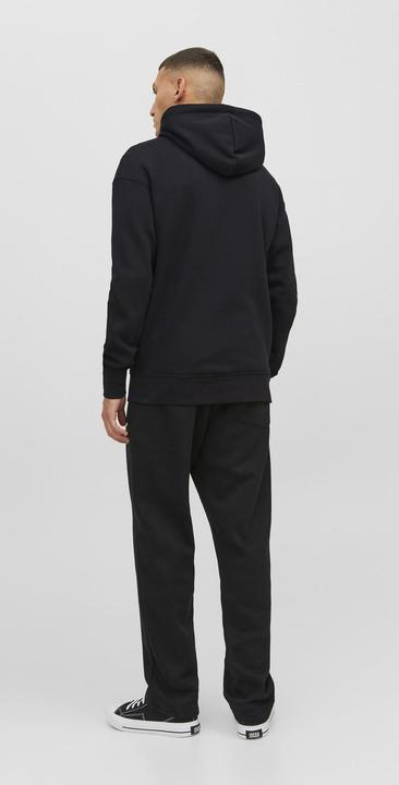 Actual product image Jack & Jones Sweat Hoodie with Zipper (XS)