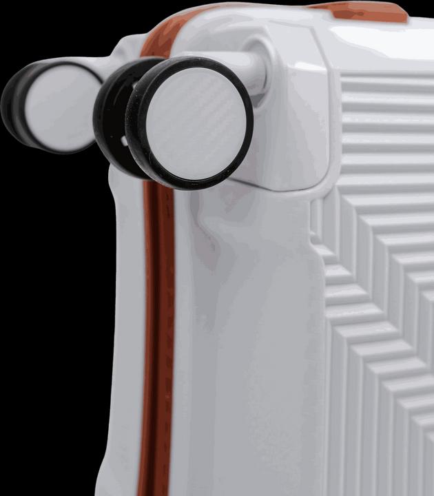 Actual product image Swissbags New Vision (30 l, Hand luggage (up to 50 litres))