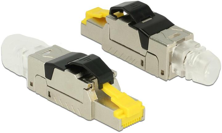 Delock Connecteur RJ45 filaire sur le terrain (S/FTP, CAT8.1, 0.06 m)