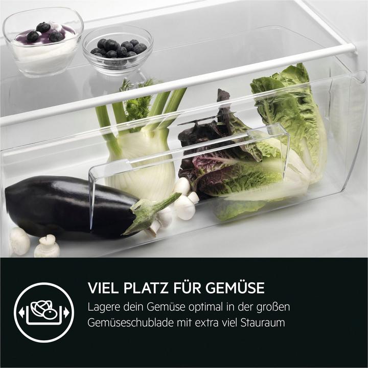 Actual product image AEG TSF5O881DF Built-in refrigerator / 880 mm / 4-star freezer compartment / 118 L / fixed door / D (118 l)
