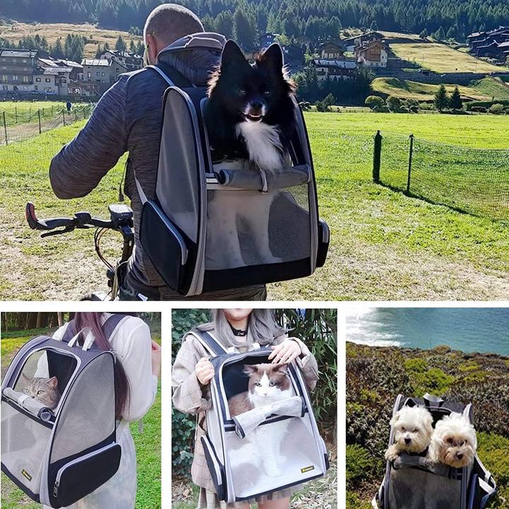 Actual product image Bow Calico Haustierrucksack (Dog, Cat, Foldable, Breathable)