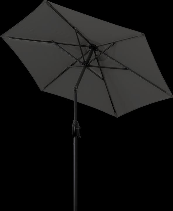 Immagine prodotto Derby Basic Lift Neo (1.80 m)
