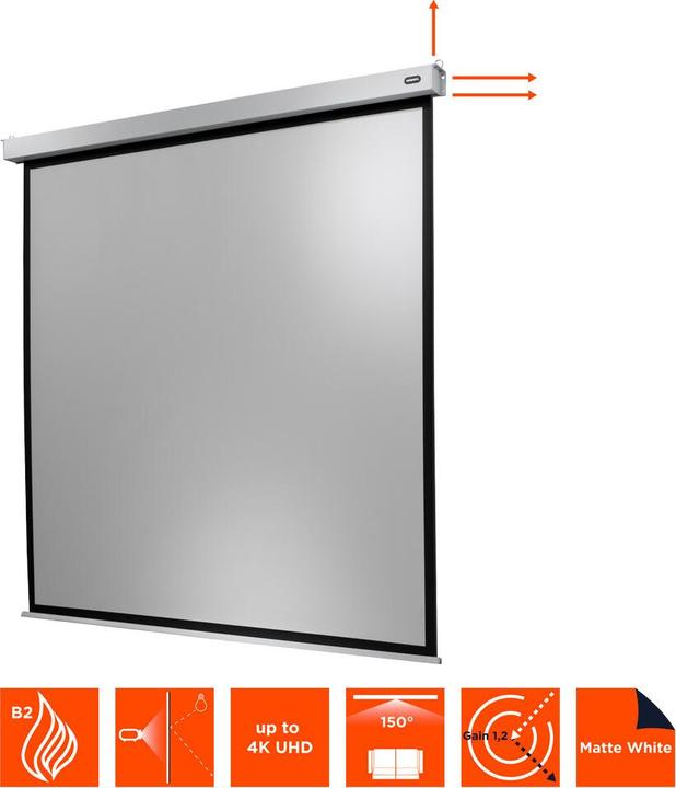 Actual product image Celexon Motor Professional Plus (167", 1:1)