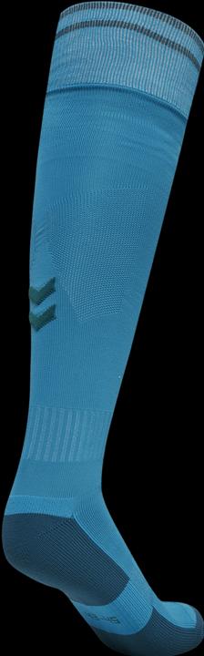 Actual product image hummel Element Football Sock (31 - 34)