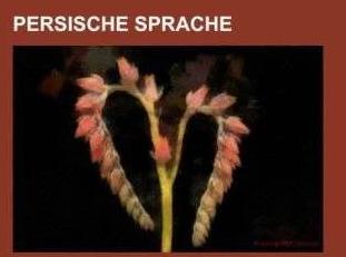 Produktbild Persische Sprache (Deutsch, Books LLC, 2014)