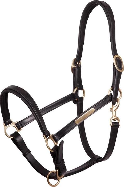 Image du produit Premiere Equitation