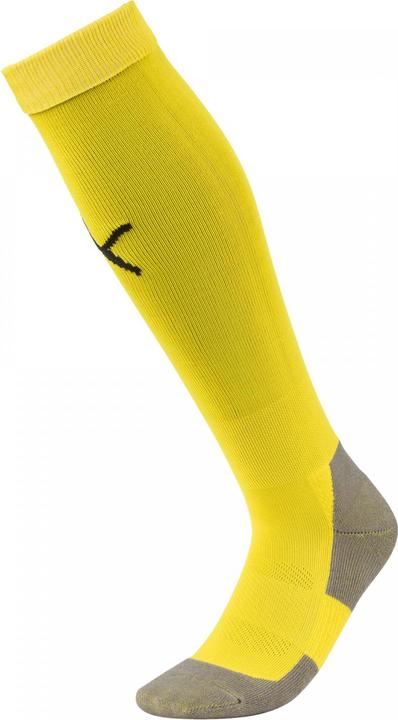 Actual product image Puma Team LIGA Socks CORE-703441 (47 - 49)