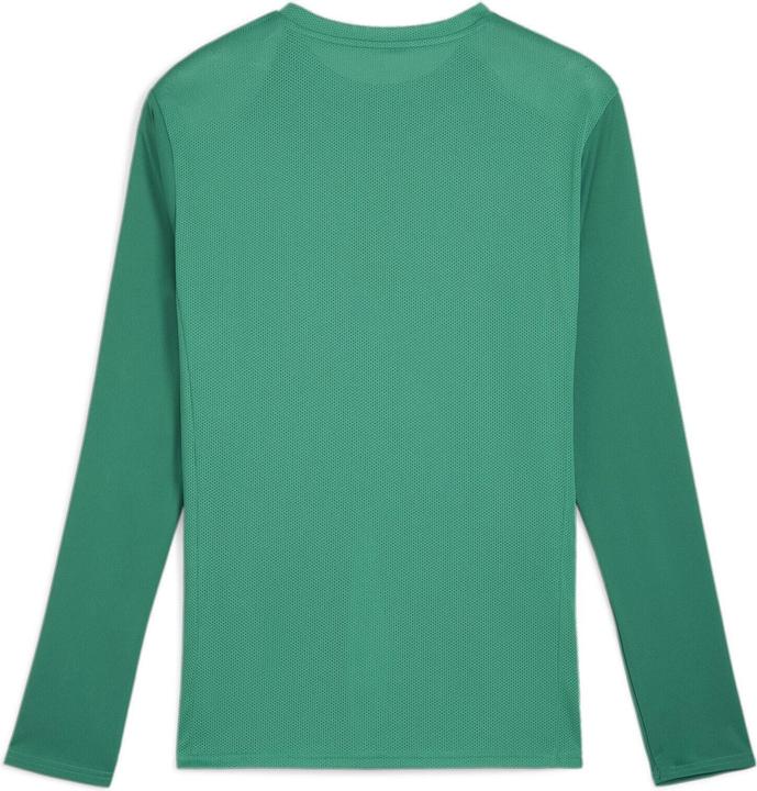 Puma TeamGoal