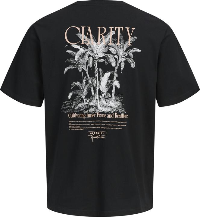 Immagine prodotto Jack & Jones Jorbradley Clarity Tee Ss C.N Stmss25 (L)