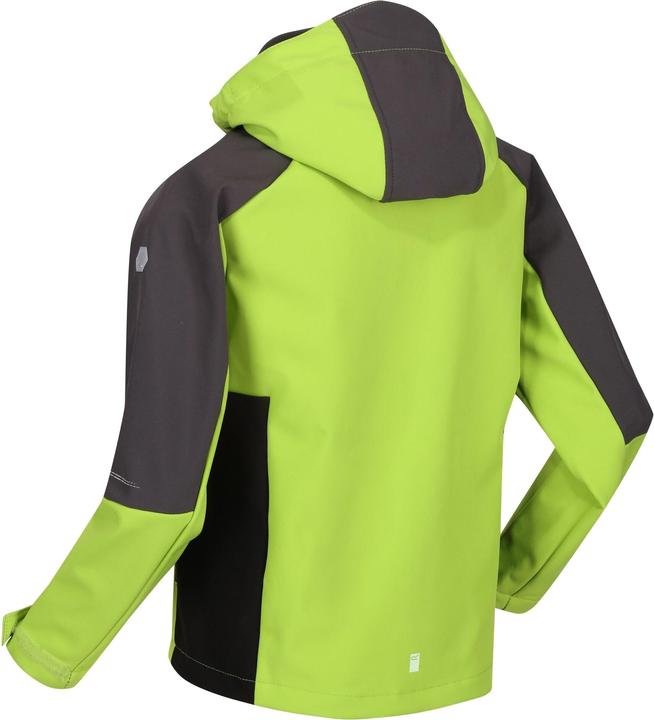 Image du produit Regatta Veste softshell Eastcott II (104)