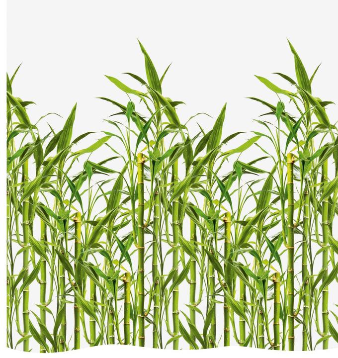 Immagine prodotto Diaqua Tenda da doccia tessile Bamboo (240 x 180 cm)