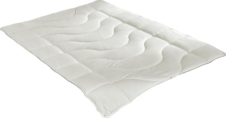 Irisette Greenline Greenline Cyclafill ECO 4-Jahreszeiten (1100 g, 135x200 cm)