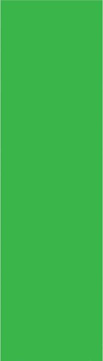 Mobility on Board Green Colors Griptape (1Sheet)