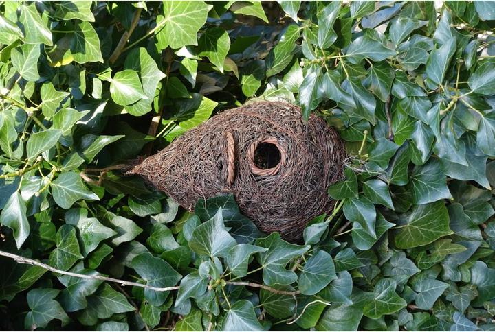 Actual product image Wildlife World Bird's Nest