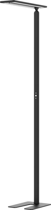 Produktbild Hansa LED-Stehleuchte Larimar (4700 lm)