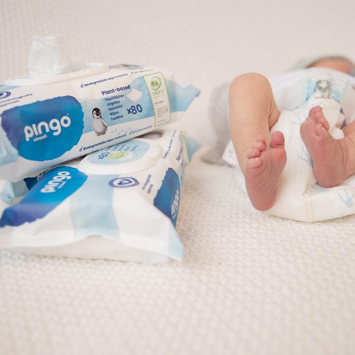 Actual product image Pingo Wet wipes (80 Piece)