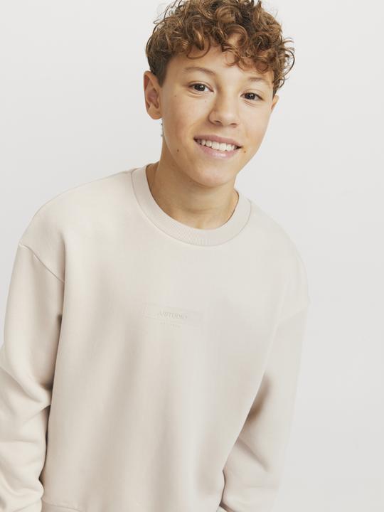 Immagine prodotto Jack & Jones Felpa stampata junior (140)