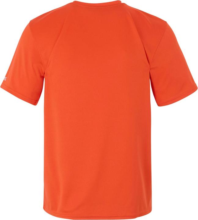 Actual product image Regatta Mens Fingal IX Topographic T-Shirt (4XL)