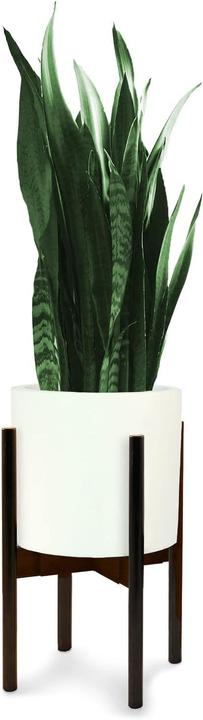 Actual product image Fox & Fern Plant stool