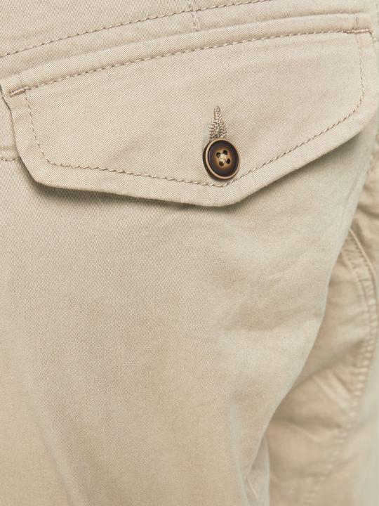 Produktbild Jack & Jones Paul Flake AKM 542 Cargohose (33)