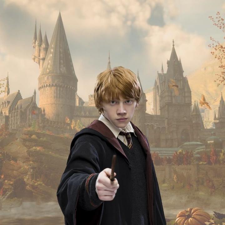 Produktbild Noble Collection Harry Potter Zauberstab Ron Weasley (Charakter-Edition)