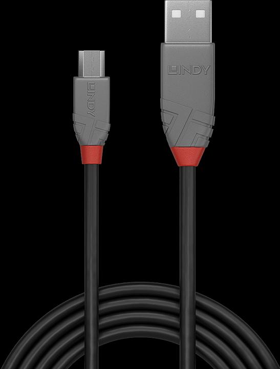 Actual product image Lindy Anthra Line (0.20 m, USB 2.0)