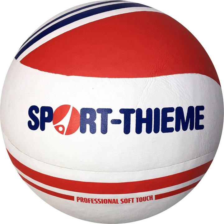 Actual product image Sport-Thieme Volleyball Gold Cup Pro