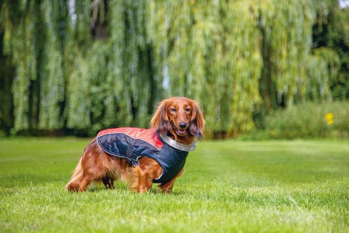 Produktbild Beeztees Hundemantel Saby (XXS, Hundemantel)