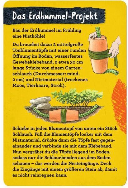 Produktbild Die Spiegelburg 50 Insekten, Spinnen & Co.