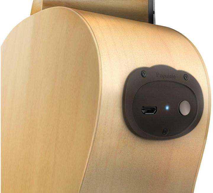 Actual product image Popu Music Populele U1 (Acoustic)