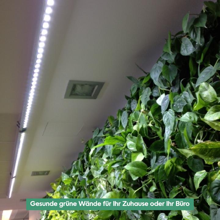 Produktbild Parus by Venso Wall Spot 150cm, Abstrahlwinkel 60°, LED Wachstumslampe, Grow Light für Zimmerpflanze (LED, 245 V)