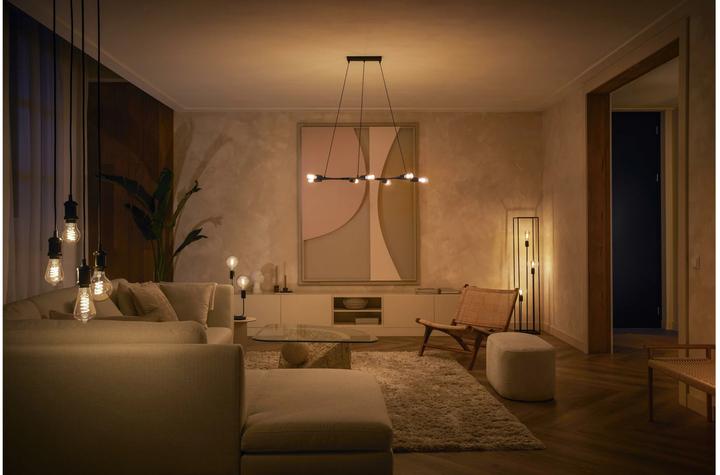 Actual product image Philips Hue White BT (E27, 7 W, 550 lm, 1 x, G)