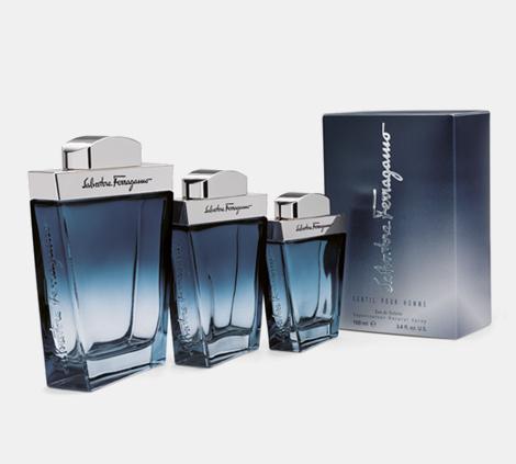 Image du produit Salvatore Ferragamo Subtil (Eau de toilette, 100 ml)