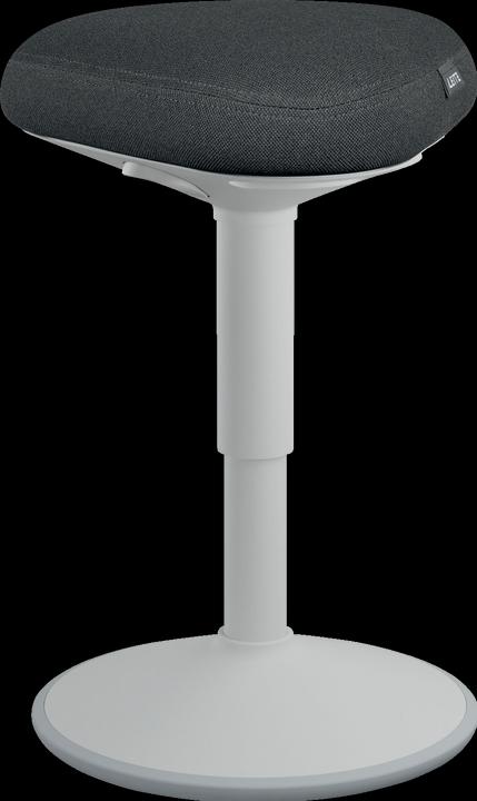 Produktbild Leitz Ergo Active