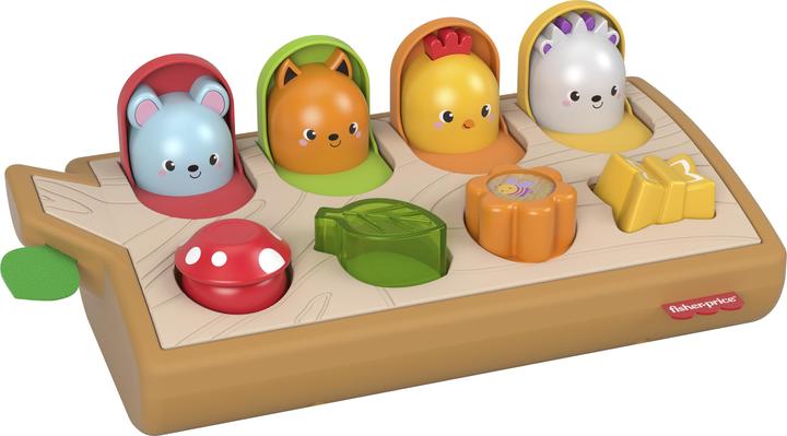 Actual product image Fisher-Price Peekaboo (German)