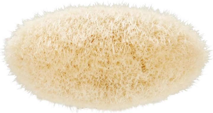 Actual product image MAC Cosmetics 133S Small Cheek Brush (Blusher)