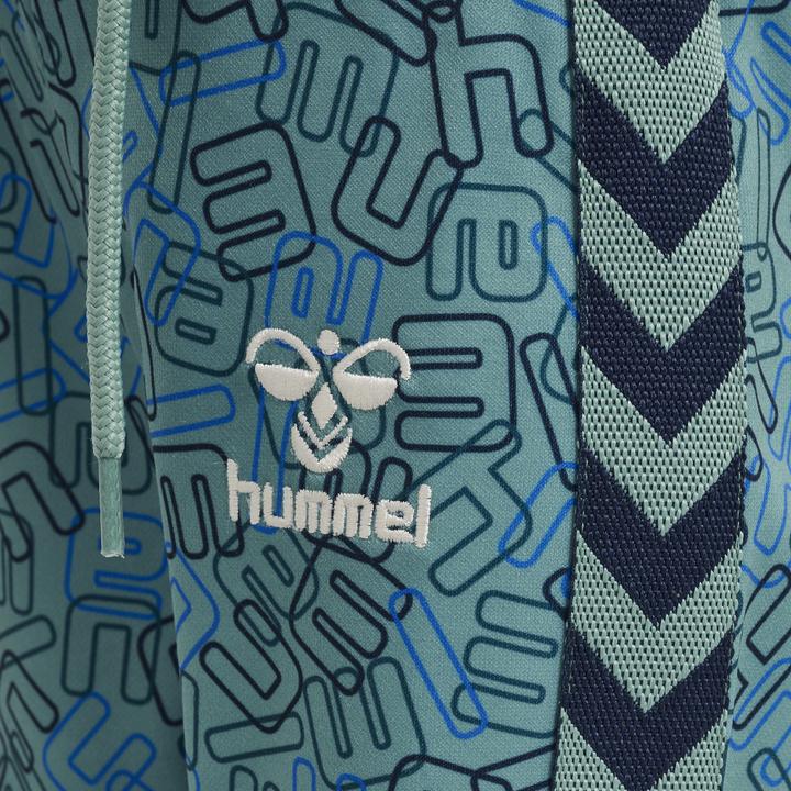 Actual product image hummel Olympus Pants (80)