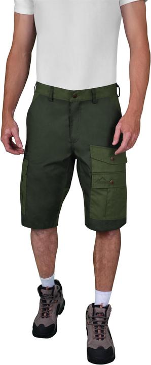 Vert foncé, olive