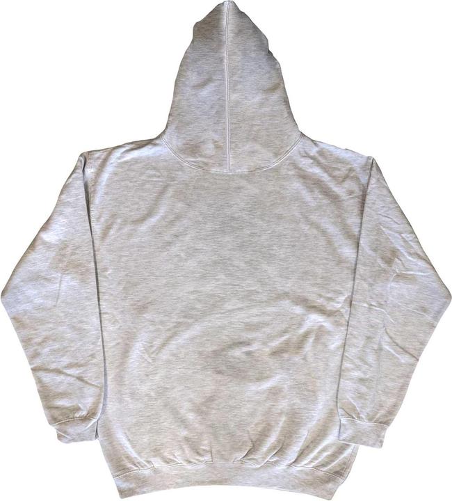 Image du produit The Strokes Sweat à capuche unisexe pour adultes Magna Mono Distressed (XL)