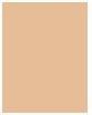 Actual product image Clarins Everlasting Foundation No.103N Ivory (103N Ivory)