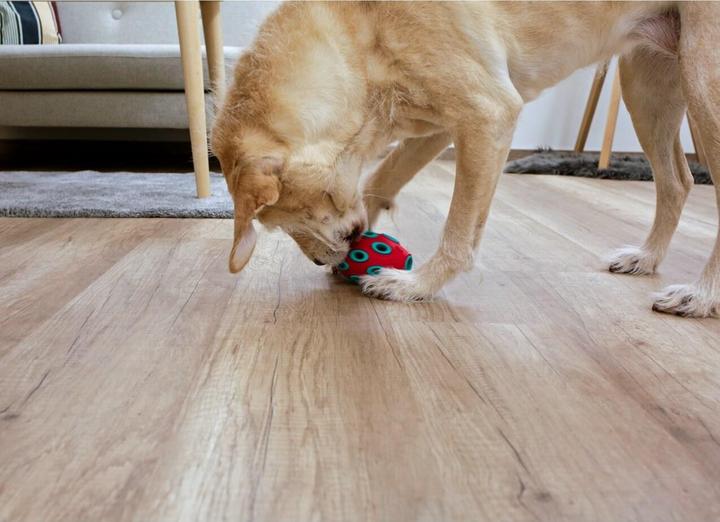 Actual product image Kerbl ToyFastic, dog toy chew toy, fillable tooth-friendly Rugby (Dog chew toy)