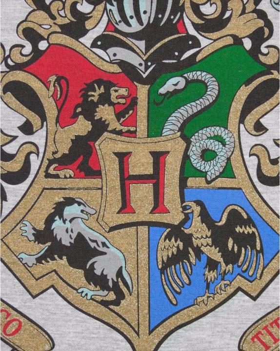 Produktbild Hogwarts RaglanOberteil (XL)