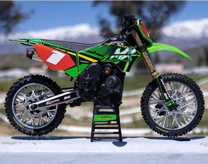 Immagine prodotto Losi Promoto MX (RTR pronto all'uso)
