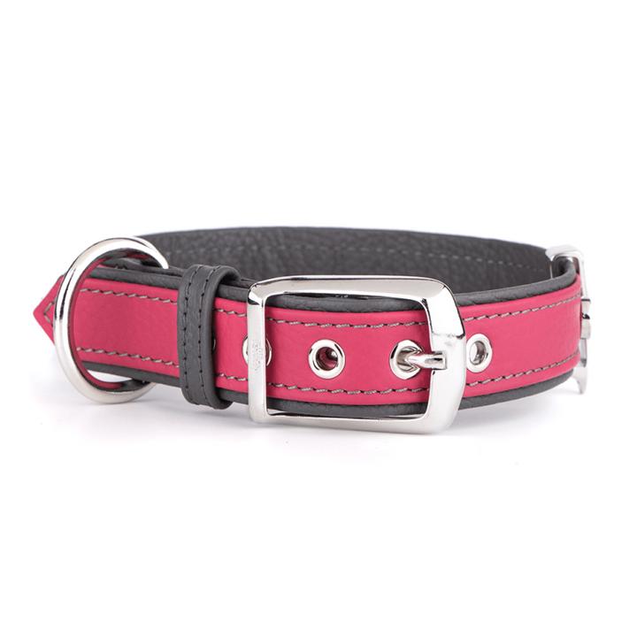 Actual product image Myfamily Firenze Vitello (XL, Dog, General)