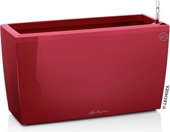 Actual product image Lechuza Cararo (30 cm)
